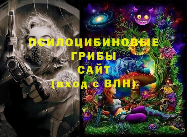 прущие грибы Михайловск