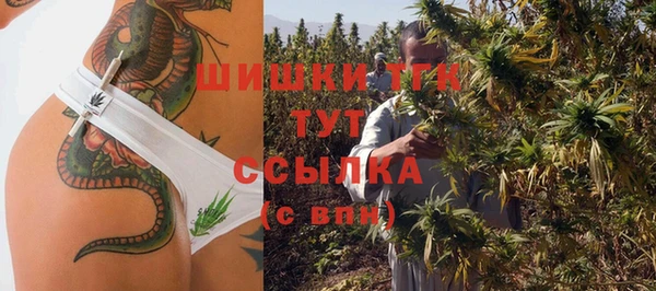 спайс Михайлов