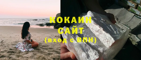 прущие грибы Михайловск