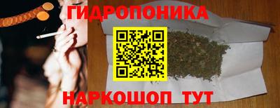 СК Заводоуковск