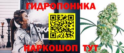 СК Заводоуковск