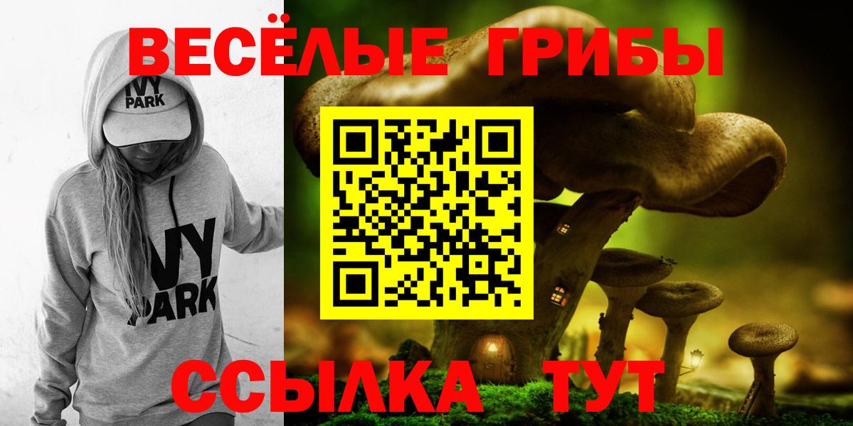 Назрань  Галлюциногенные грибы Psilocybe  Вход с VPN  Псилоцибиновые грибы мицелий 
