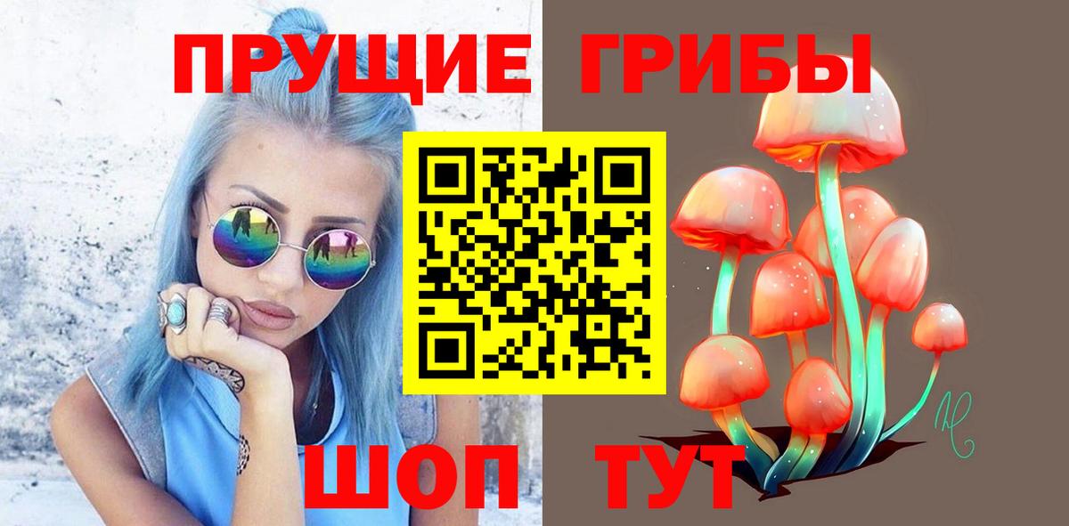 Галлюциногенные грибы Psilocybine cubensis  Назрань  Галлюциногенные грибы Magic Shrooms 