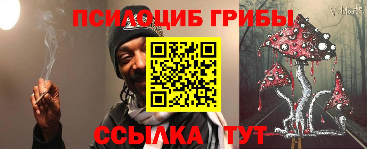 Галлюциногенные грибы прущие грибы Назрань